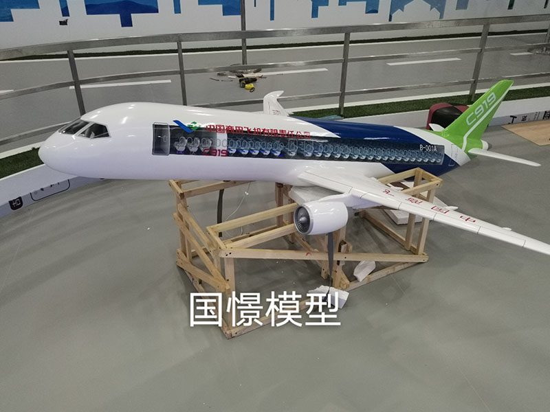 千阳县飞机模型